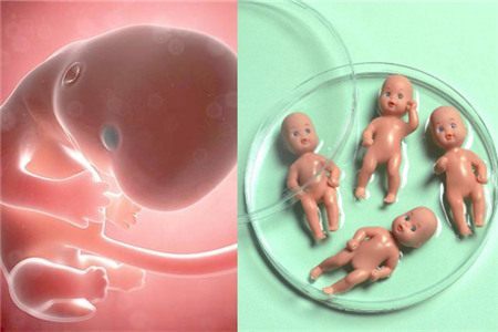 关于供卵包男孩正规代生公司